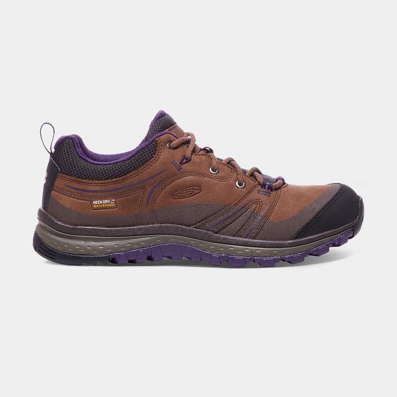 Zapatos Trekking Keen Terradora Cuero Waterproof Para Mujer Marrom/Morados - Zapatos Keen Mexico (28